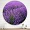 Designart - Blooming Purple Lavender Field - Farmhouse Metal Circle Wall Art